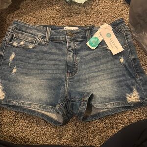 Blue Jean Shorts with Distressed Details